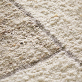 Alora Ivory & Brown Wool Rug